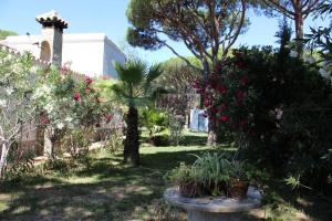 Villa andaluza en zona Playa Barrosa con piscina y barbacoa