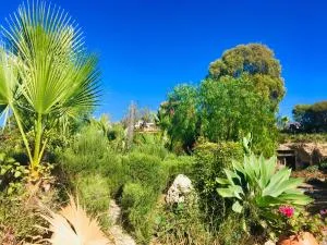 Tenerife Nature Retreat - Ifonche