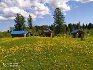 Гостевые дома