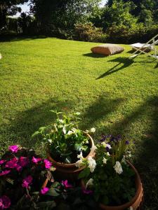 Casa Vacanze Le Violette