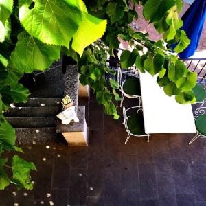 Double Room with Private Bathroom room in Salotto Brè - Bed and Breakfast