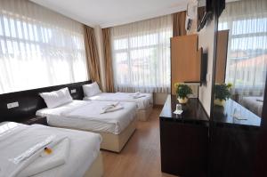 Triple Room room in Hotel Baykal