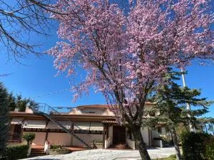 Alloggio turistico Luigina - Rivodutri