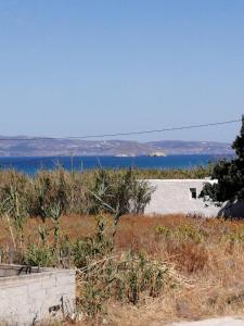 Sahara Apartments Naxos Greece