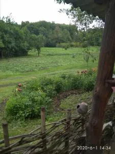 Maliovnytsya - Borodany