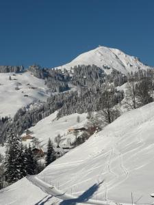 Bergpension-Ebental