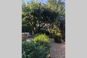 Appartements Mazet de L'Amandari : photos des chambres