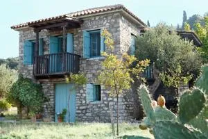 Rizes - 安德里塞纳