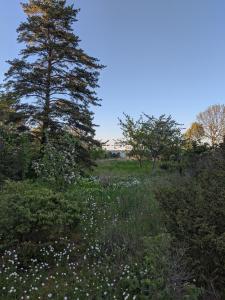 Seaside getaway in Ööd mirror house with sauna