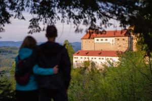 Rooms & Apartments Podsreda Castle