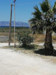 Sahara Apartments Naxos Greece