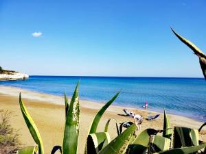 Casa la conchiglia sulla spiaggia