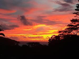 Janes Serenity Guesthouse