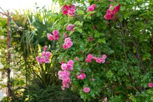 Maisons de vacances La Villa ioanes : photos des chambres