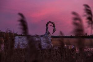 Gulbju māja - Swan house