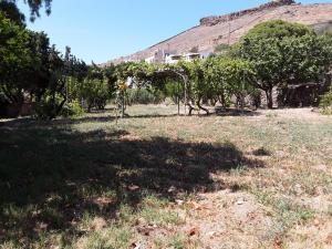 The house in the port Kea Greece