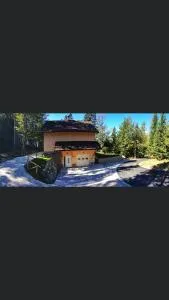 Apartmaji Velikonja - Otlica