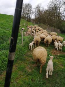 La Gaucherie aux Dames