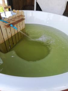 Agroturystyka Nad Jeziorem Piecki