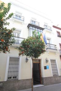 Hostal Roma hotel, 
Seville, Spain.
The photo picture quality can be
variable. We apologize if the
quality is of an unacceptable
level.