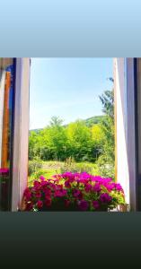 La Bottega, holiday house