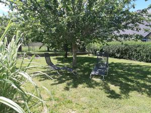 Maisons de vacances Gite la Treille au Clos des Pradals : photos des chambres