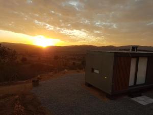 Echazarreta Vineyards