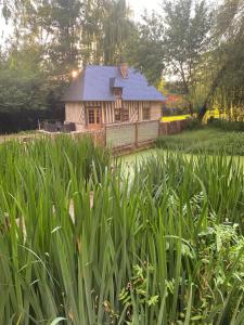 Maisons de vacances Gite Les Grenouilles : photos des chambres