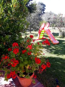 Casa Vacanza Gaia Relax Pula img58