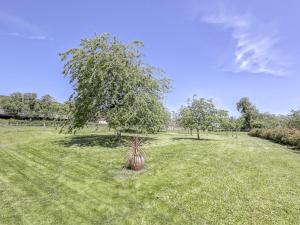 Maisons de vacances Authentic Burgundian Farmhouse in Talon with Fireplace : photos des chambres