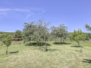 Maisons de vacances Authentic Burgundian Farmhouse in Talon with Fireplace : photos des chambres