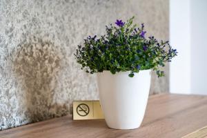 Apartamenty, Boutique Rooms Villa 82, MIEJSCE PRKINGOWE