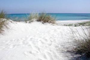 Appartamento vista mare img10