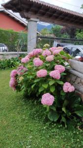 Apartamentos La Huerta de la Torre