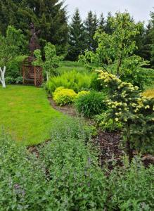 Apartament Malinowa Dolina