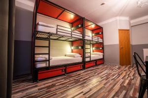 Bed in 4-Bed Female Dormitory Room room in YellowSquare Rome