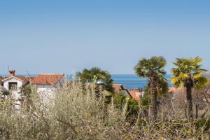 Apartment Motovunska 39