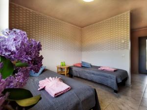 Kihnu Külalistemaja