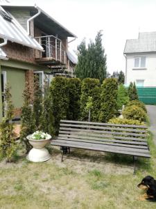 Lucio Home