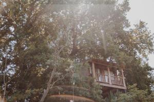 Bungalow - Not Pet Friendly room in Quinta Do Padrao