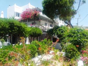 Villa Arni Andros Greece