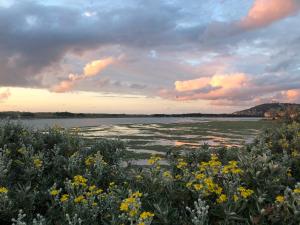 Appartements LES MARINES 1 9217 : photos des chambres