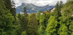 Appartements Elegant et moderne, au pied du Mont-Blanc : photos des chambres