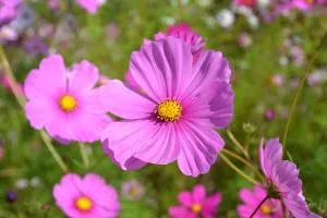 B&B La Giara di Assisi - Rivotorto