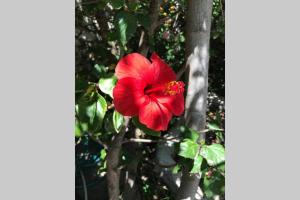 Traditional Stone House in Eastern Mani