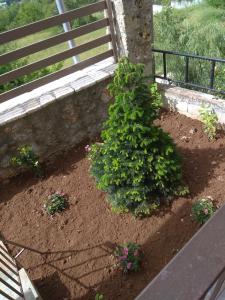 Angelic in the mountains Orini-Korinthia Greece