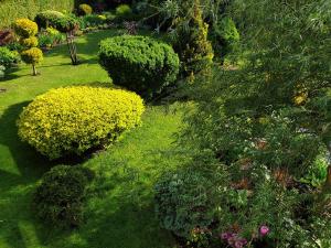 Apartamenty i pokoje u Beaty