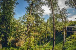 Mumu by Bernalo Hotels