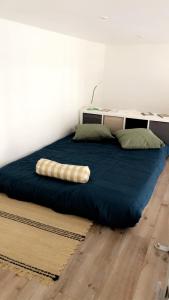 Le Grand Mole - 2 à 8 voyageurs