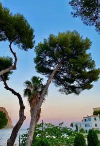 Hotels Le Jardin d'Emile : Chambre Double - Vue sur Mer - 1